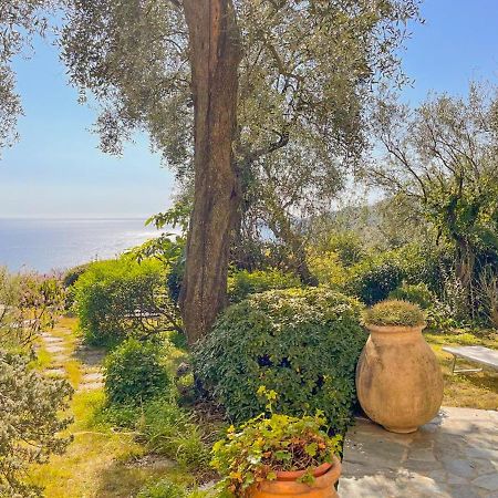 L'Uliveto Di Santa Con Piscina Santa Margherita Ligure Exterior foto