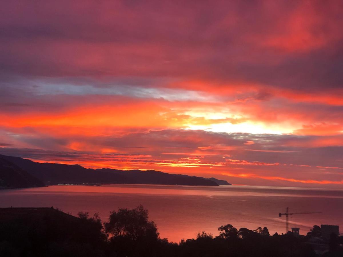 L'Uliveto Di Santa Con Piscina Santa Margherita Ligure Exterior foto