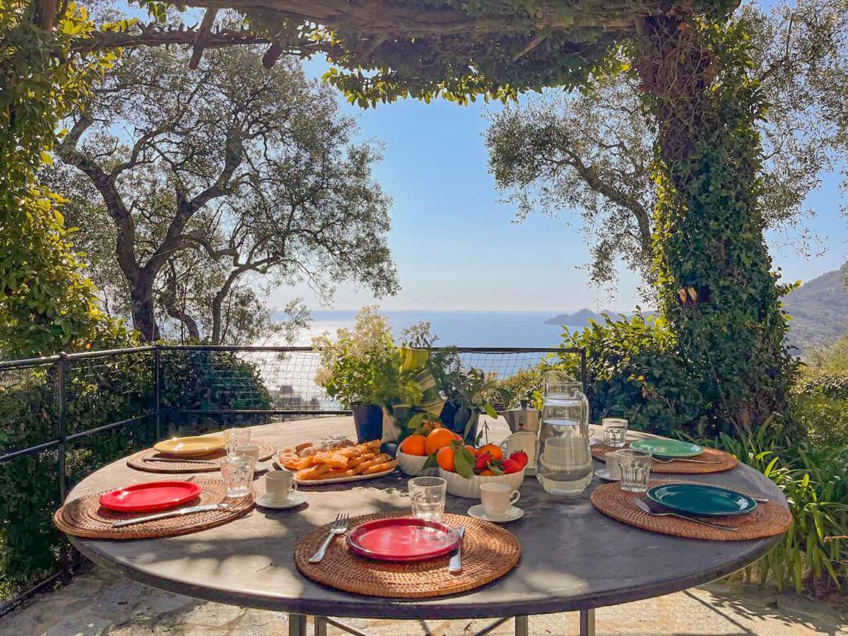 L'Uliveto Di Santa Con Piscina Santa Margherita Ligure Exterior foto