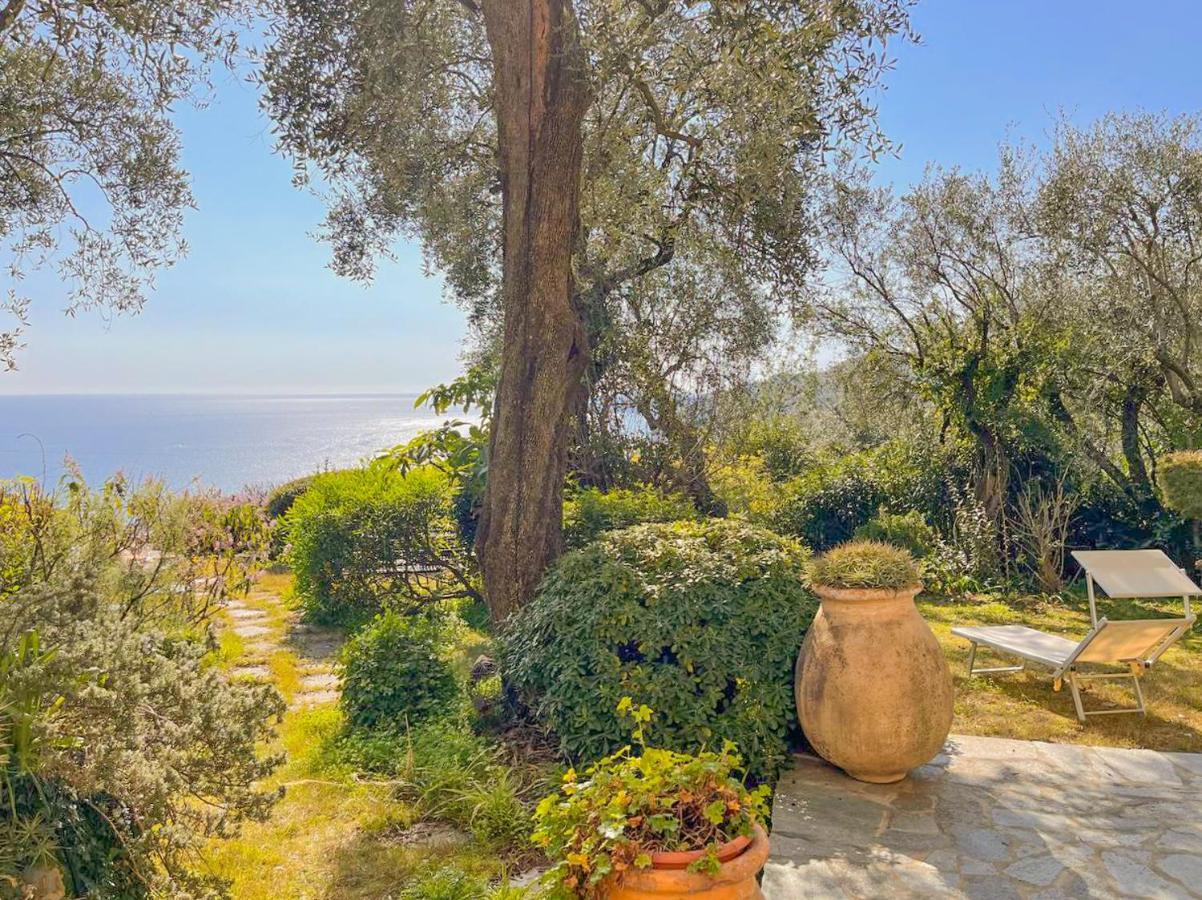 L'Uliveto Di Santa Con Piscina Santa Margherita Ligure Exterior foto